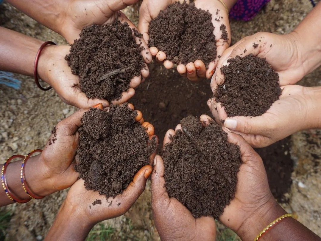 Ecological Restoration & Native Soil Regeneration | 16:10